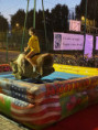 /album/fotografie-palio-2025/image10-jpeg/