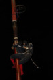 /album/fotografie-palio-2025/img-3466-jpg/
